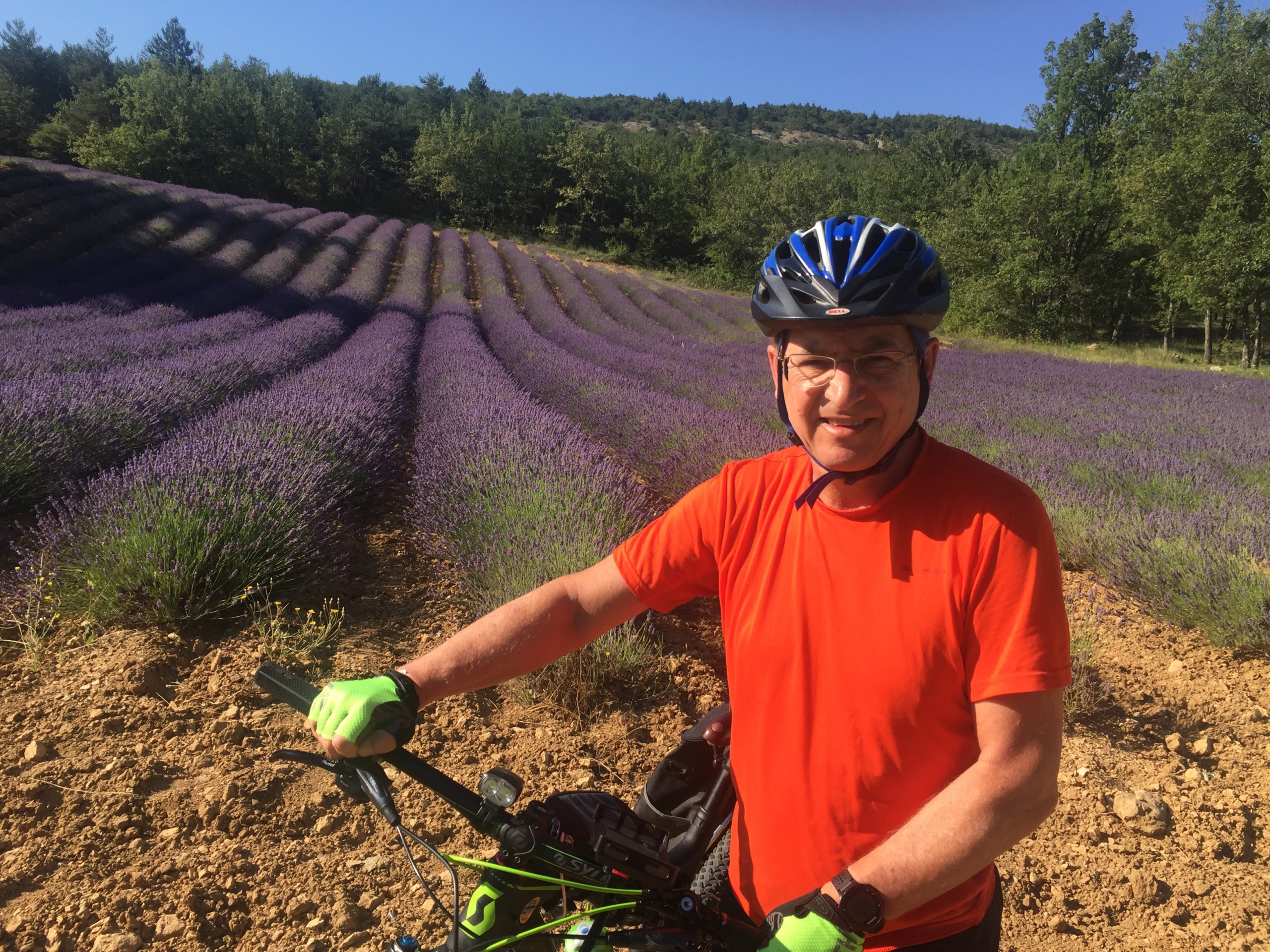 Jurandir Sell Macedo